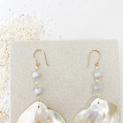 Shiny shell earrings 3枚目の画像