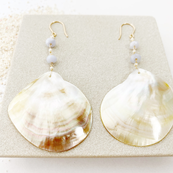 Shiny shell earrings 4枚目の画像