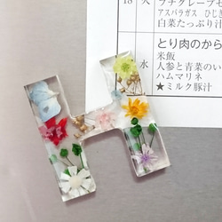 カラフルなお花がかわいい❤️ インアリウム「フラワーマグネット」N 4枚目の画像