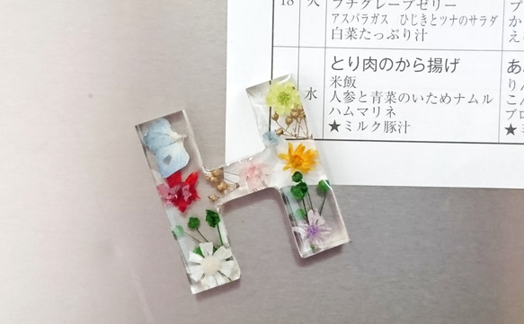 カラフルなお花がかわいい❤️ インアリウム「フラワーマグネット」A 4枚目の画像