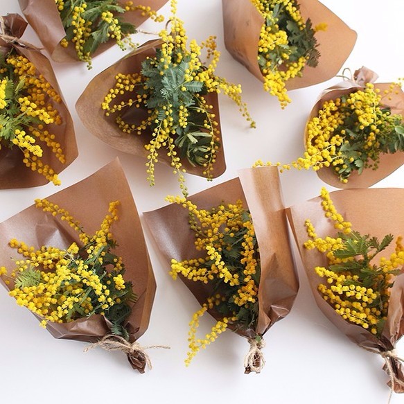 Spring flower〜ミモザのフライングフラワー○ドライフラワー Spring flower〜ミモザのフライングフラワー○ドライフラワー