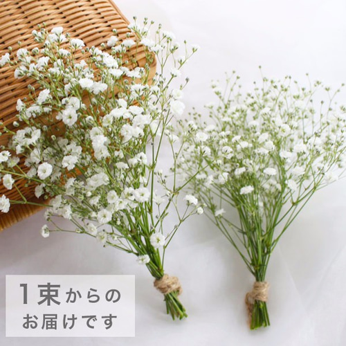 かすみ草のラッピング* プチギフト Sサイズ かすみ草ミニブーケ かすみ