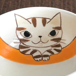 猫絵のぐい呑み(おすまし茶トラ猫) 5枚目の画像
