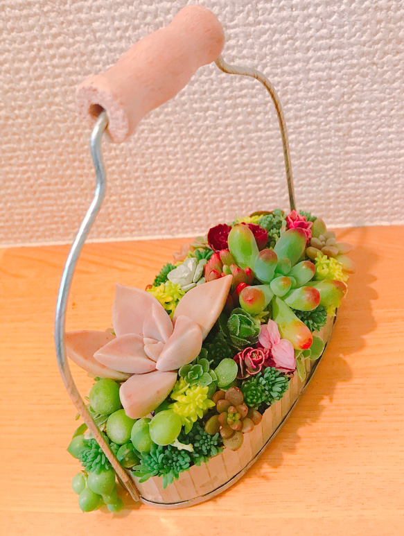 *送料無料* 多肉 多肉植物 寄せ植え 持ち手つきブリキ缶 2枚目の画像