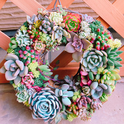 0_21604ecdb623ad3e52f9eb66af92