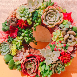 多肉 多肉植物 リース 寄せ植え ☻ 10枚目の画像