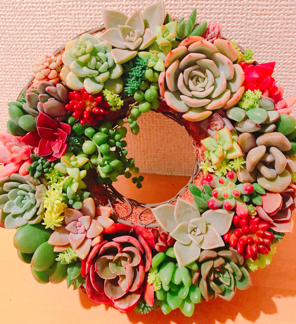 多肉 多肉植物 リース 寄せ植え ☻ 10枚目の画像