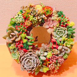 多肉 多肉植物 リース 寄せ植え ☻ 6枚目の画像