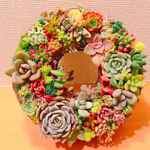 多肉植物　寄せ植え　リース 多肉植物 寄せ植え リース - メルカリ
