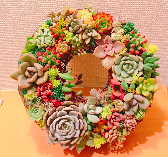 多肉 多肉植物 リース 寄せ植え ☻ 6枚目の画像