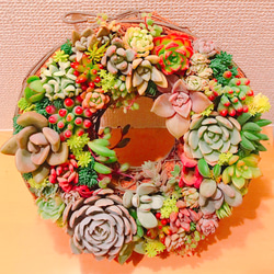 多肉 多肉植物 リース 寄せ植え ☻ 9枚目の画像
