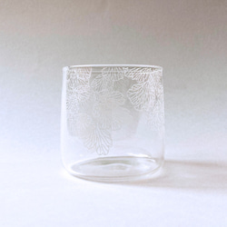 Fern Pattern Glass - short - Adiantum capillus-veneris 1枚目の画像