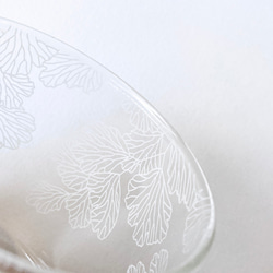 Fern Pattern Glass - short - Adiantum capillus-veneris 3枚目の画像
