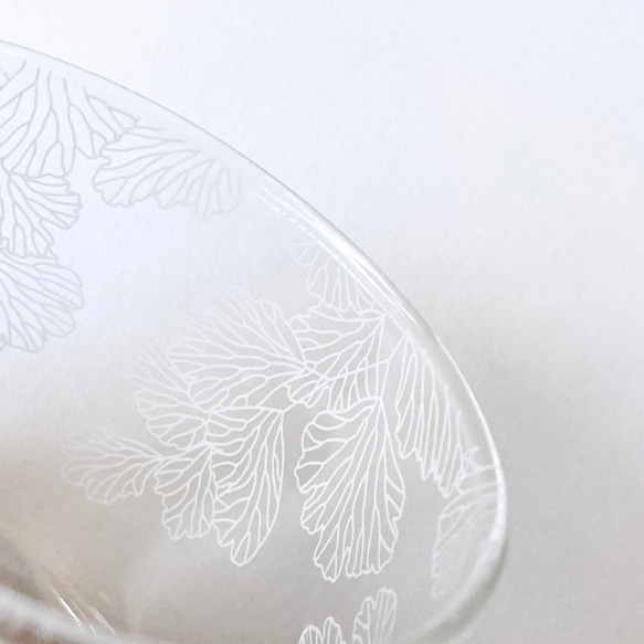 Fern Pattern Glass - short - Adiantum capillus-veneris 3枚目の画像