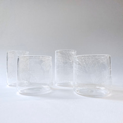 Fern Pattern Glass - short - Adiantum capillus-veneris 4枚目の画像