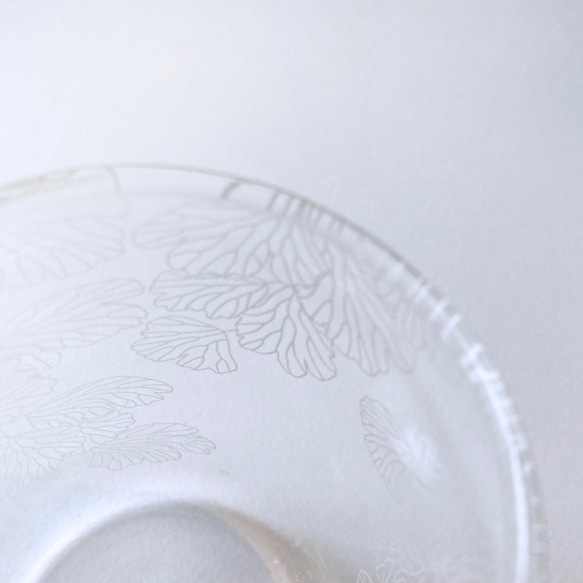 Fern Pattern Glass - Large - Adiantum capillus-veneris 3枚目の画像