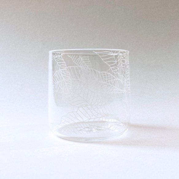 Fern Pattern Glass - short - Angiopteris somai Hayata 1枚目の画像