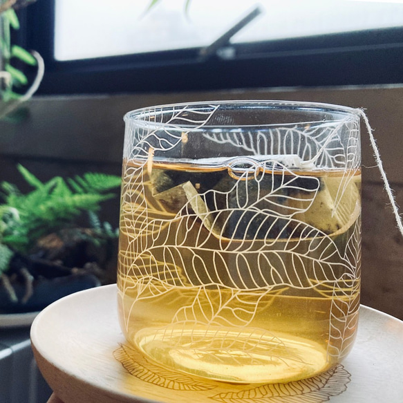 Fern Pattern Glass - short - Angiopteris somai Hayata 2枚目の画像