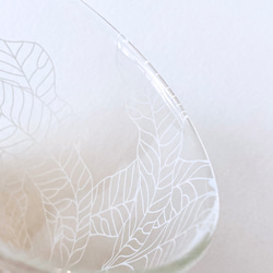 Fern Pattern Glass - short - Angiopteris somai Hayata 3枚目の画像