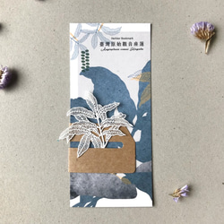 Fern Herbier Papercraft - Angiopteris somai Hayata 2枚目の画像