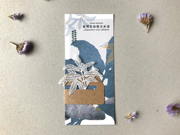 Fern Herbier Papercraft - Angiopteris somai Hayata 2枚目の画像