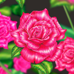 【受注生産】アートポスター「薔薇オリジナル」 1枚目の画像