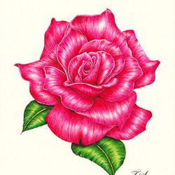 【受注生産】アートポスター「薔薇オリジナル」 6枚目の画像