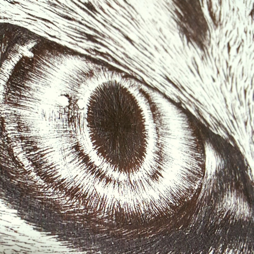 受注生産】A2サイズのポスター『ボールペン画/カラーボールペン画