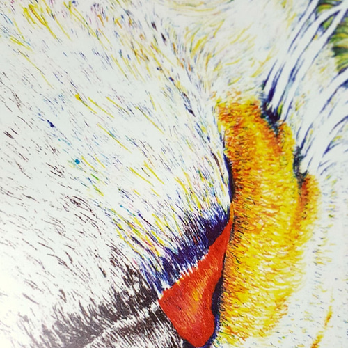 受注生産】A2サイズのポスター『ボールペン画/カラーボールペン画