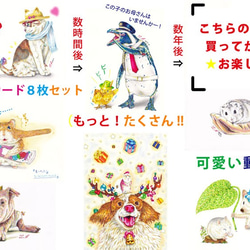 第3弾　ポストカード8枚セット (もっと！たくさん!!可愛い動物編) 1枚目の画像