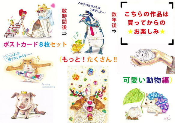 第3弾　ポストカード8枚セット (もっと！たくさん!!可愛い動物編) 1枚目の画像