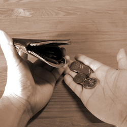 ミニ財布 「ポケットバース」 本革100％ L字ファスナー メンズ レディース兼用 ブラウン×チョコ 9枚目の画像