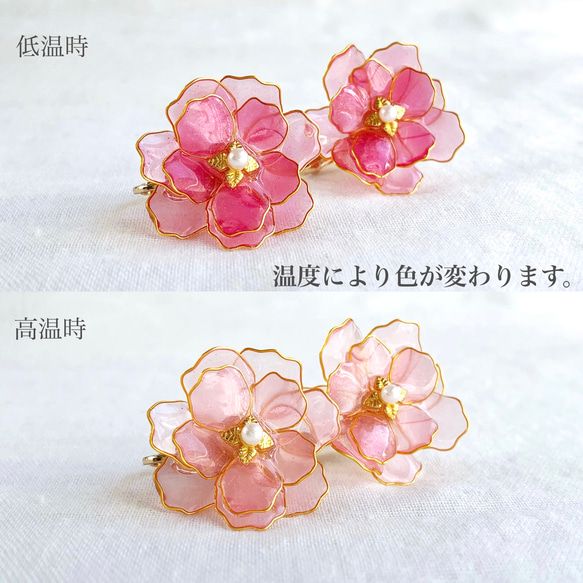 色が変わる牡丹桜のイヤリング/ピアス ٭❀*ぷっくり透明感が大人綺麗・シンプルで華やか しなやかな花弁 大ぶり 春コーデ 2枚目の画像