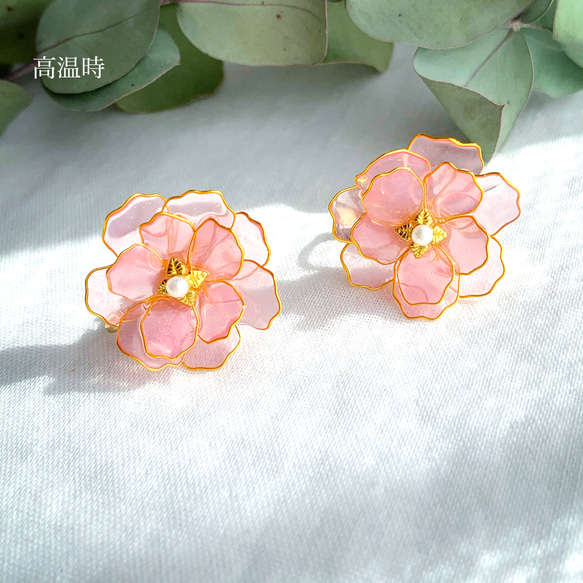 色が変わる牡丹桜のイヤリング/ピアス ٭❀*ぷっくり透明感が大人綺麗・シンプルで華やか しなやかな花弁 大ぶり 春コーデ 4枚目の画像