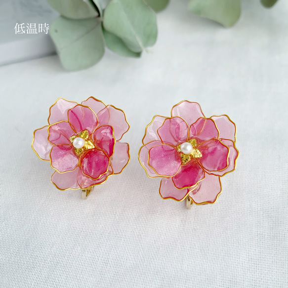 色が変わる牡丹桜のイヤリング/ピアス ٭❀*ぷっくり透明感が大人綺麗・シンプルで華やか しなやかな花弁 大ぶり 春コーデ 5枚目の画像