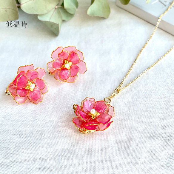 色が変わる牡丹桜の春コフレ٭❀* イヤリング/ピアス ネックレス 透明感が大人綺麗で華やか しなやかな花弁 大ぶり 3枚目の画像