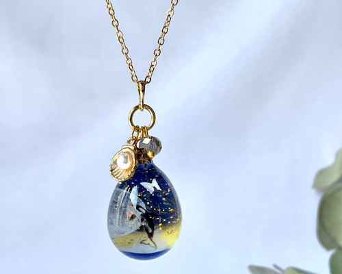 ☆。゜海月の世界☆。゜～心に残るアクセサリー～ 1_2119f3f4fdfc2164c98e650968c5