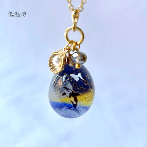 色が変わる月明かりの海 ٭❀* シャチに寄り添う幻の蝶 夜空に星が瞬く