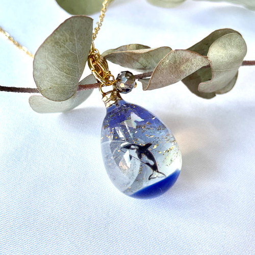 色が変わる月明かりの海 ٭❀* シャチに寄り添う幻の蝶 夜空に星が瞬く  