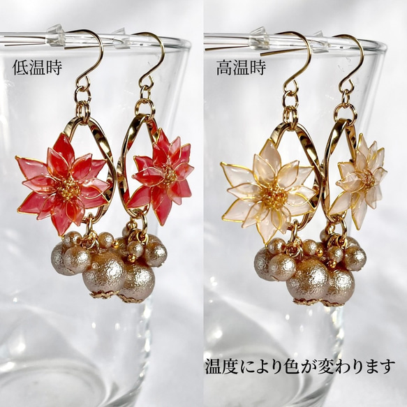 色が変わるポインセチアのイヤリング/ピアス ٭❀* 上品なコットンパールが大人綺麗 揺れる 大ぶりで華やか ワイヤー 2枚目の画像