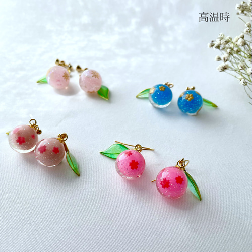 色が変わるさくらんぼイヤリング/ピアス ٭❀* 温度で桜の花が