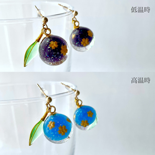 色が変わるさくらんぼイヤリング/ピアス ٭❀* 温度で桜の花が