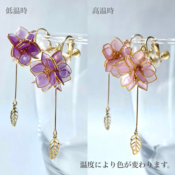 色が変わる紫陽花イヤリング/ピアス ٭❀* 温度で変わる不思議な花・ぷっくりしなやかな揺れる花びら 大人綺麗 ワイヤー 3枚目の画像