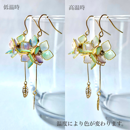 色が変わる紫陽花イヤリング/ピアス ٭❀* 温度で変わる不思議な花