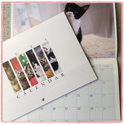 お買い物で繋がる猫達の命［sakuraneko］オリジナル2021年版カレンダー（ラッピング無料） 1枚目の画像