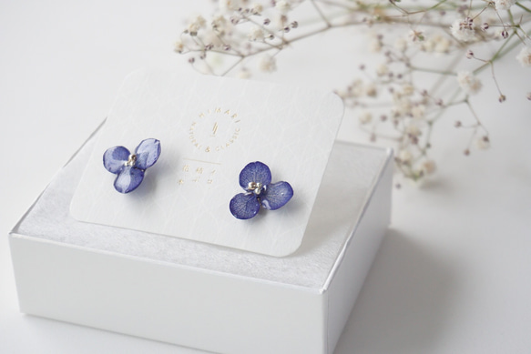 紫陽花ピアス/ハナノメグミ３枚花弁(クラシックブルー/ネイビー)受注生産 4枚目の画像