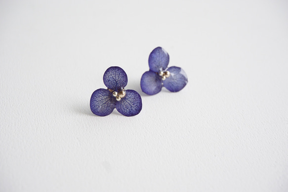 紫陽花ピアス/ハナノメグミ３枚花弁(クラシックブルー/ネイビー)受注生産 8枚目の画像