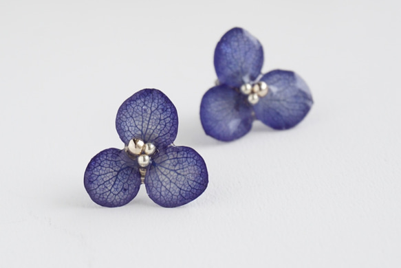 直到 6/18 ◎ 限時銷售 ◎ 繡球花耳環 3 瓣 Hana no Megumi（經典藍 / 海軍藍）定做 第1張的照片