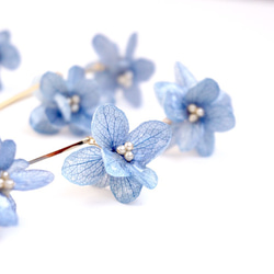搖晃繡球花Hanano megumi耳環（淺藍色）定制 第1張的照片