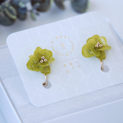 紫陽花ピアスハナノメグミ(黄緑色)✳︎受注生産✳︎ 5枚目の画像